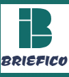 BriefICO