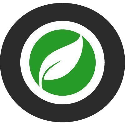 RAW ICO